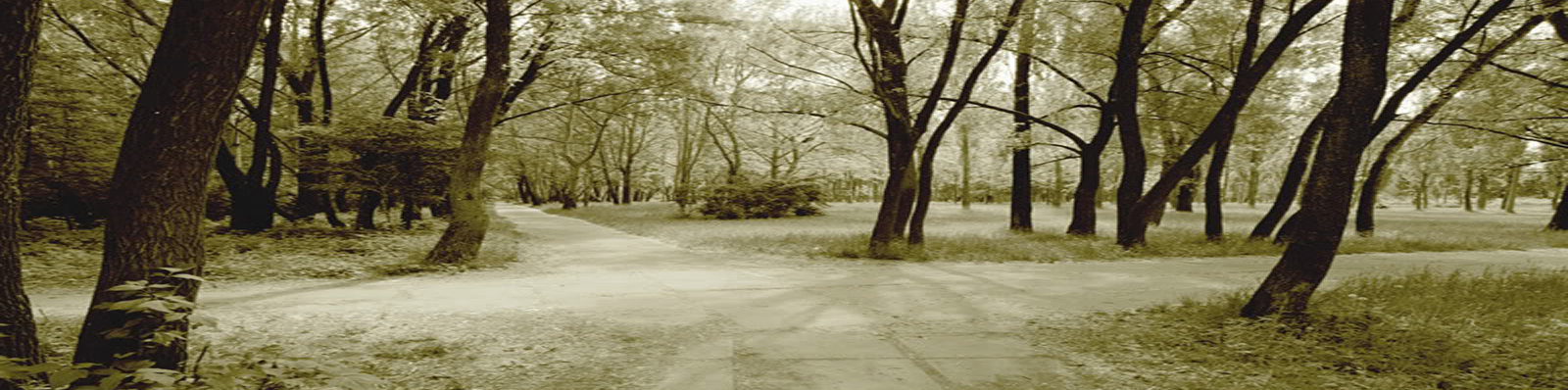 #caption-8790